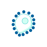 cellprotect
