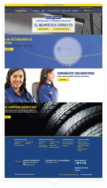 Goodyear_on (1)