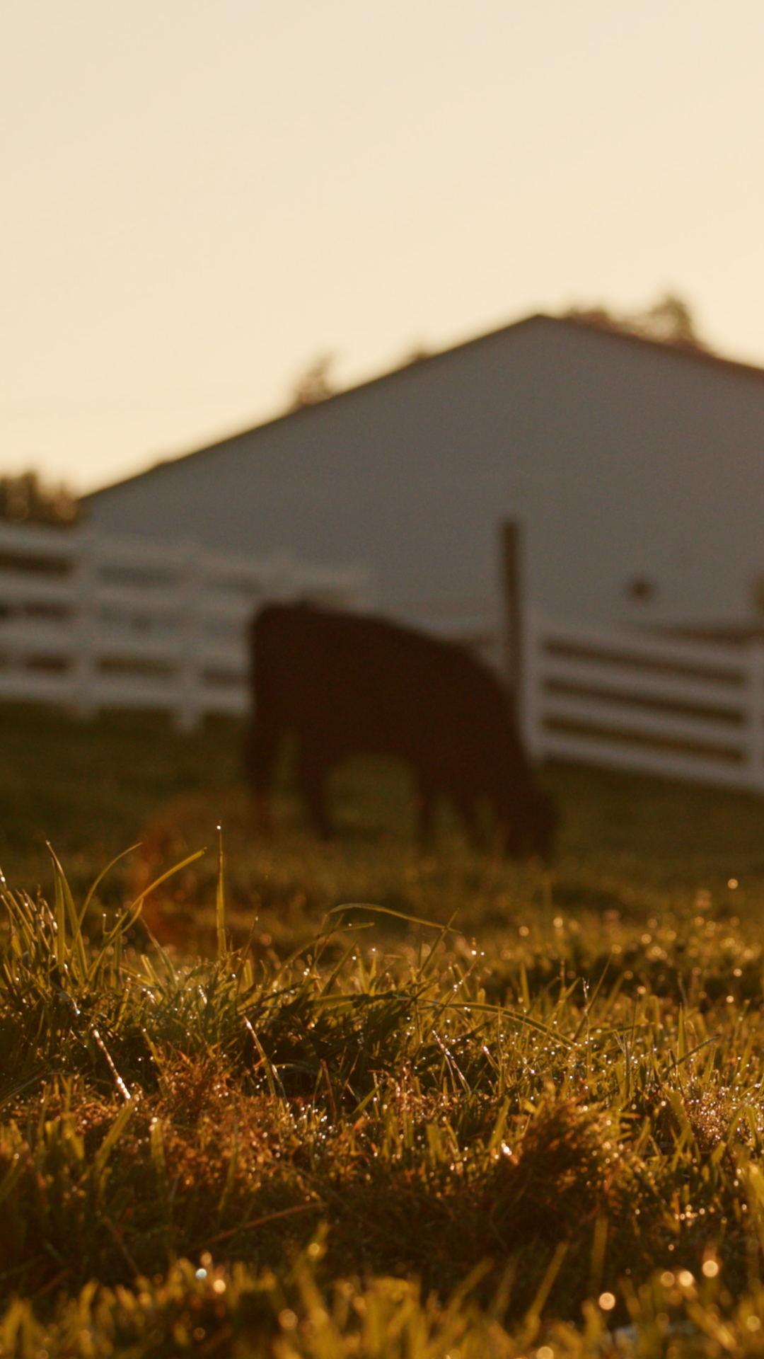 TKG photography on site at Conny Farms